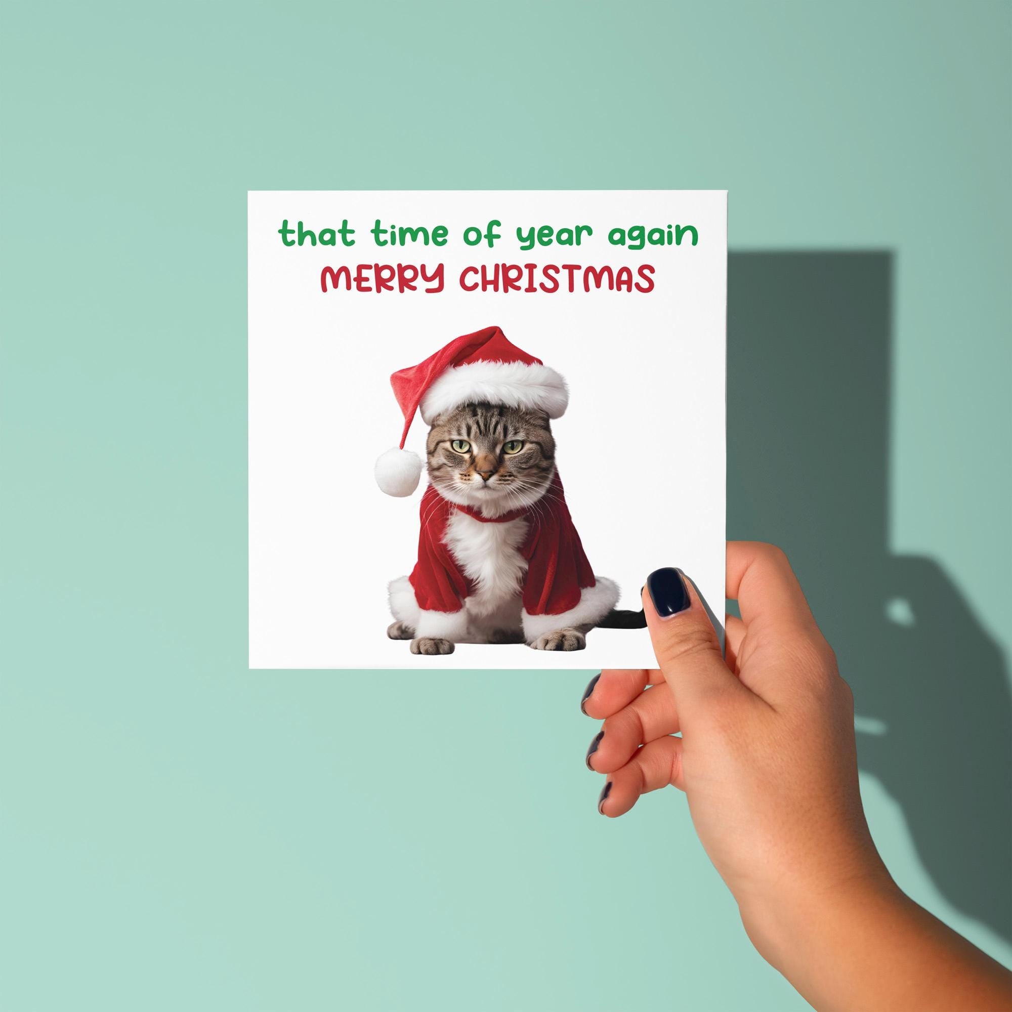 Cat - That Time Of Year Again - Christmas Card
