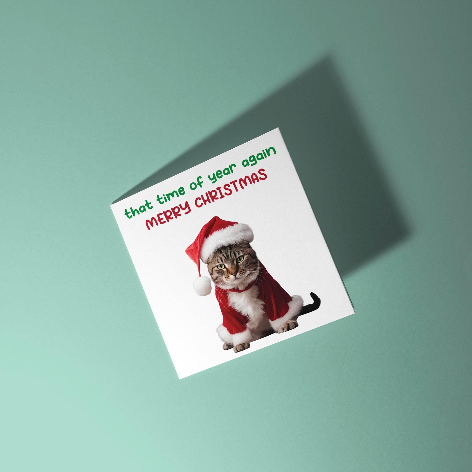 Cat - That Time Of Year Again - Christmas Card