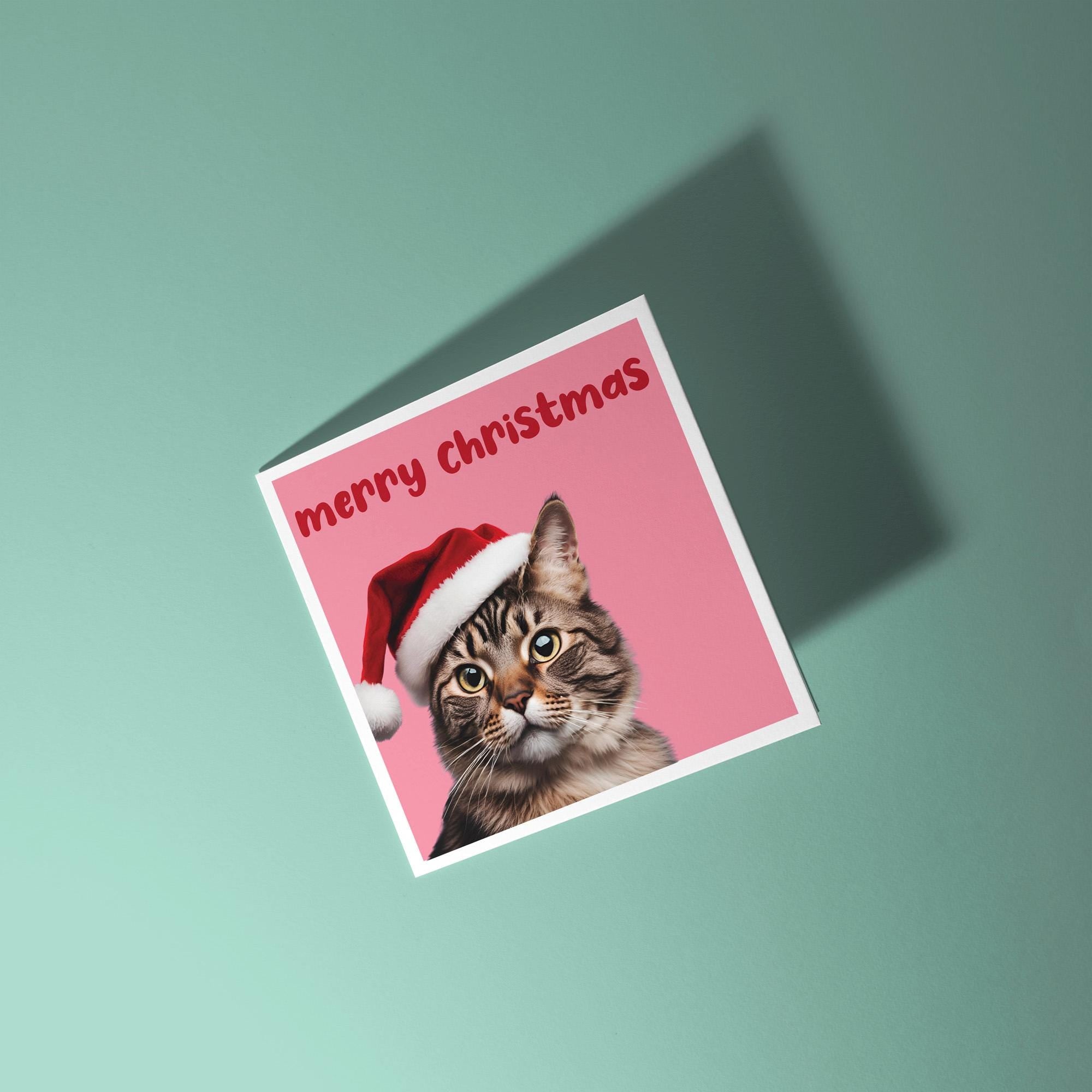 Christmas Cat - Christmas Card